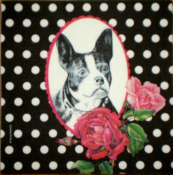 084 Dogs (84)